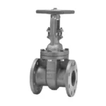 10uma kitz gate valve