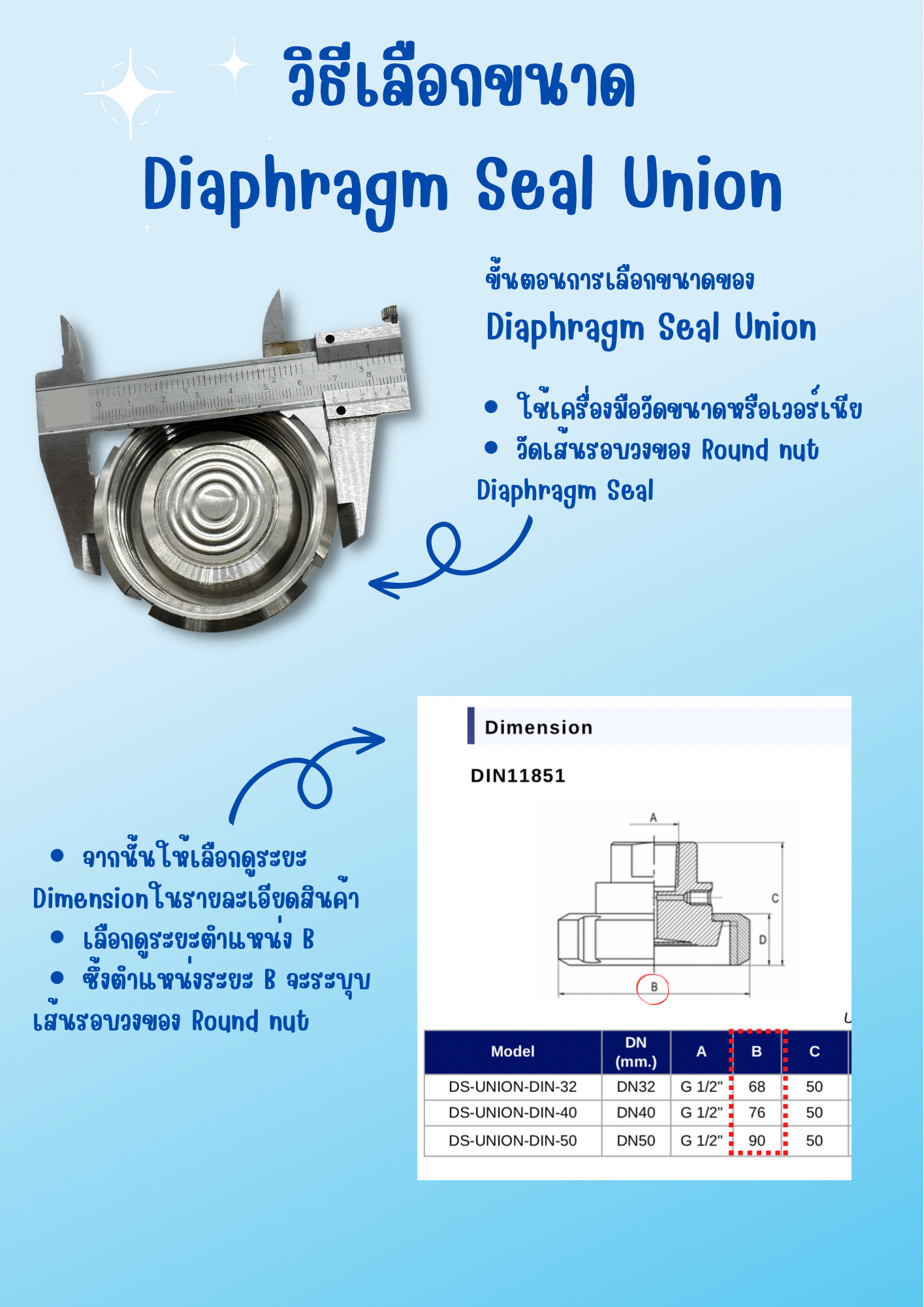 Diaphragm Seal Union เกจวัดแรงดันติดไดอะแฟรม ไดอะแฟรมซีล Octagauge