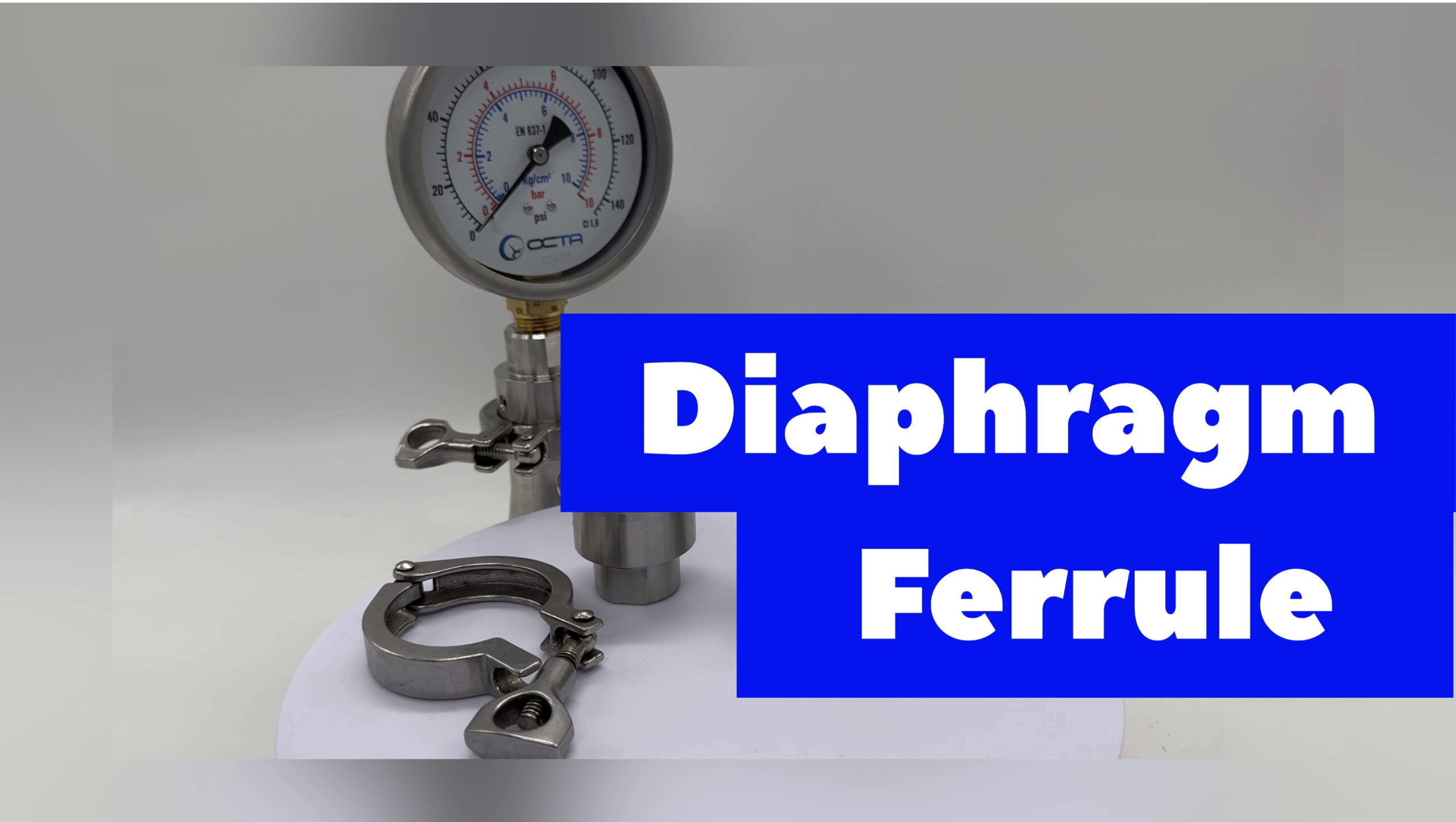 Diaphragm seal ferrule ไดอะแฟรมซีล ประเภท ferrule เกจวัดความดันติดไดอะแฟรมซีล 1