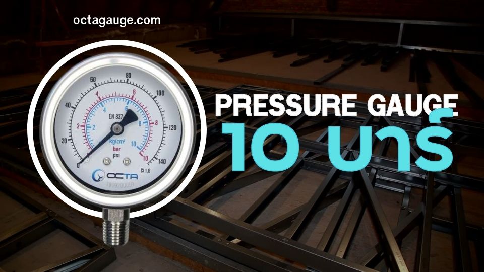 Pressure gauge 0 10 bar pako