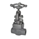 globe valve ksb ecoline class800 1500 2500