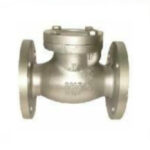 swing check valve jk sw cj pako