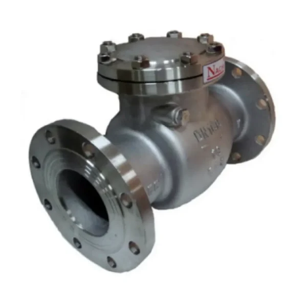 swing check valve ductile iron NC41 HY